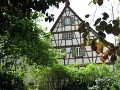 2009-05-07 13.06.01